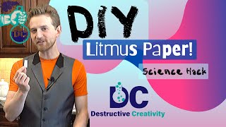 DIY Litmus Paper  Ph strips you can make at home Science hacks [upl. by Eltrym202]