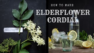 How to Make Elderflower Cordial  Wild Food Recipes [upl. by Bayless943]