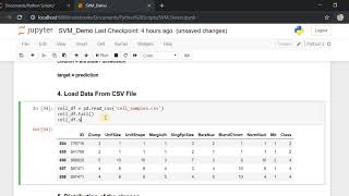 Support Vector Machine  SVM  Classification Implementation for Beginners using python  Detailed [upl. by Ranee]