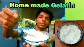 Home made Gelatin  how to make gelatin powder at home malayalam [upl. by Gwenette]