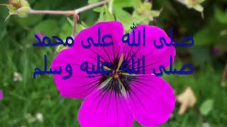 Noureddine Khourchid  صلى الله على محمد  نور الدين خورشيد Islamic arabic nasheed [upl. by Evreh]