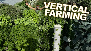 Revolutionary Farming Method Unveiling Our Aeroponic Vertical Farm [upl. by Ollehcram162]