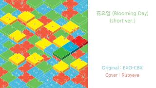 Cover EXOCBX  花요일 Blooming Day Rubyeye ver [upl. by Aikemehs207]