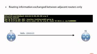 OSPF Neighbor Adjacencies [upl. by Yelyak]