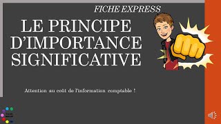 Le principe dimportance significative en comptabilité [upl. by Inele]