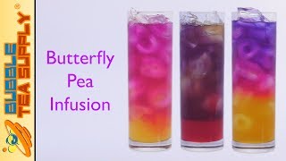 How to Make Butterfly Pea Infusion Base for Butterfly Pea Drinks [upl. by Bittencourt]