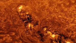 The Sun’s Incredible Activity Through My Telescope  October 4 [upl. by Beasley]