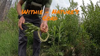 Learn how to make a withie  nature’s readymade cord [upl. by Irret687]