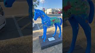 Painted Ponies in Southern Pines NC [upl. by Hirsch]