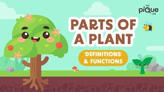 Parts Of A Plant Definitions amp Functions  Primary School Science Animation [upl. by Papageno]