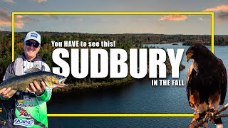 Sudbury In The Fall You HAVE To See This [upl. by Ellsworth]