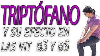 Relación del Triptófano con las vitaminas B3 y B6 [upl. by Tekla]