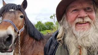 Milltown Horse Fair Kerry 28 April 2024 [upl. by Raleigh]