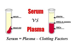 Difference between Serum and Plasma [upl. by Ethe969]