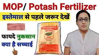 MOP Fertilizer  Muriate of potash  mop fertilizer benefits and uses  MOP fertilizer dose  Potash [upl. by Arundel125]