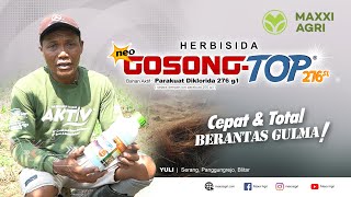 maxxiagri  herbisida Neo GOSONGTOP 276SL Cepat amp Total Basmi gulma Lahan jagung josss mantap [upl. by Eittap]