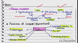 Cortical Hormones  Aldosterone  cortison  hyper and hypoaldosteronism [upl. by Hunsinger391]