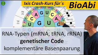 RNATypen mRNA tRNA rRNA Genetischer Code und Komplementäre Basenpaarung  Anwendungsaufgaben [upl. by Enoryt]