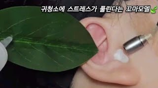 ASMR Real Series 스트레스해소용 귀청소🙆‍♀️ Cleaning ears to relieve stress ストレス解消用耳掃除 [upl. by Hutson]