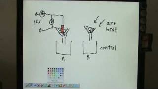 Specific Latent Heat of Fusion amp Vaporisation Lecture 1 [upl. by Olia]