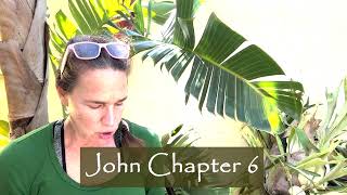 Beauty and the Bible John Chapter 6 [upl. by Freeman38]