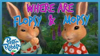 OfficialPeterRabbit  🔎🐰🐰 Where are Flopsy and Mopsy 🐰🐰🔎  COMPILATION  Cartoons for Kids [upl. by Enaujed]