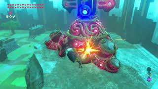 BotW Final Trials Level 22 Trial of the Sword [upl. by Enihpled]