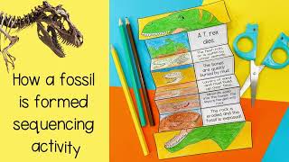 APRIL 23 LAB ACTIVITY RELATIVE DATING CORRELATION AND INDEX FOSSILS [upl. by Novahs]