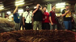 Cigar Safari 2015  Cigar Dojo [upl. by Yesima]