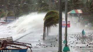 TYPHOON HAIYAN BATTERS THE PHILIPPINES  BBC NEWS [upl. by Attennot]