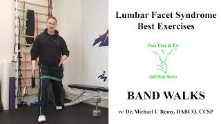 Lumbar Facet Syndrome Best Exercises Band Walks [upl. by Norrad]