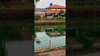 Fountain view restaurant goa vagator so good must try Nov 1 2024 [upl. by Steffy]