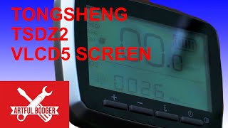 How to configure the screen for the Tongsheng TSDZ2  VLCD5 [upl. by Modnarb828]