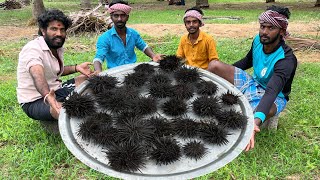 SEA URCHIN  Village Healthy Sea Foodsea urchin cooking in time pass cookingyummy food seaurchin [upl. by Mccandless175]