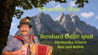 Bernhard Ostler von der Neuneralm Musi spuit an Holzmusik MarschDa zammerklaubte [upl. by Tolmann]