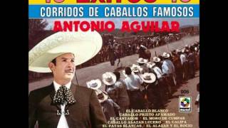 Antonio Aguilar Caballo Prieto Azabachewmv [upl. by Bathsheeb]