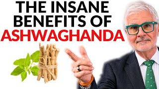 The Insane Benefits of Ashwaghanda  The Ancient Testosterone Boosting Herb  Dr Steven Gundry [upl. by Matthia]