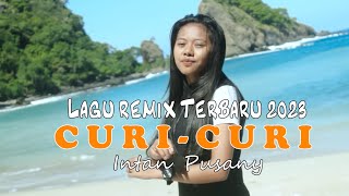 Lagu Remix Terbaru 2023CURICURIIntan Pusany [upl. by Adalbert]