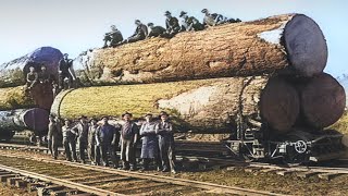 Log to Lumber  How American Lumber is Made [upl. by Toile123]