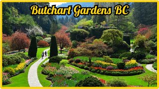 Butchart Gardens Tour  Victoria BC 2021  Tourist Attraction in Victoria [upl. by Nnarefinnej547]