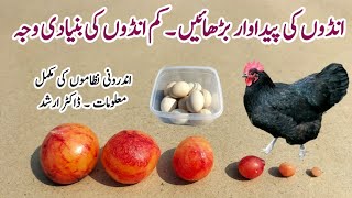 Hens not Laying   How to increase Chicken Productivity  Poultry Body Systems  Dr ARSHAD [upl. by Dnomhcir]