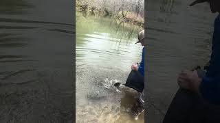 Trout fishing West Virginia Three Fork Creek [upl. by Trebliw]