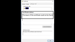 SSL certificate not trusted even after importing CA cert to trusted root store in Windows machine [upl. by Bondon824]