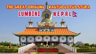 The Great Drigung Kagyud Lotus Stupa  Lumbini  The Birth Place of Gautam Buddha [upl. by Nowujalo]