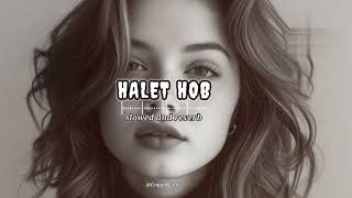 Halet Hob  Full Background Music Slowed and Reverb [upl. by Qifar]