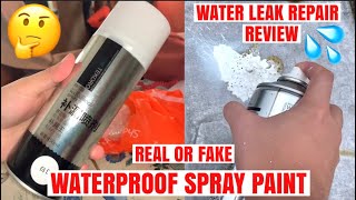 REAL or FAKE  TEKORO Waterproof Leak Repair Spray Paint  Roof Sealant  Review [upl. by Faludi]