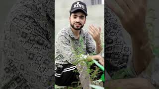 Nikah Mashup  yawar chekpora  Raja simran New kashmiri Trending song 2024 [upl. by Janine549]