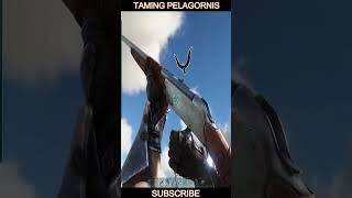 Taming pelagornis in ark survival evolved in tamil how to tame pelagornis tamil shorts [upl. by Killie]