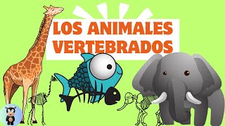 Los animales vertebrados y sus tipos [upl. by Reeves508]