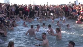 Nytårs Bad Havnebadet Islands Brygge · 2013 [upl. by Evelc]